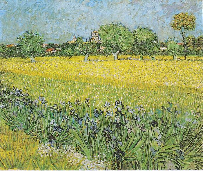 View of Arles with irises in the foreground, Vincent Van Gogh